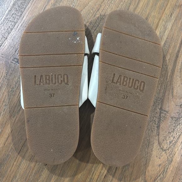 LABUCQ Slides - Picture 5 of 5